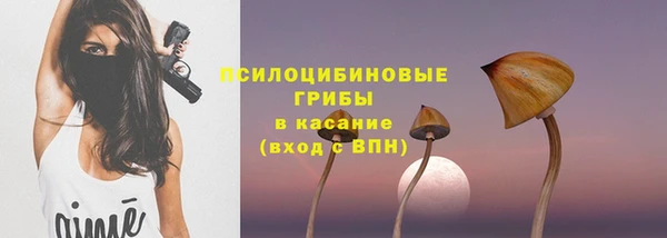 соль ск Аркадак