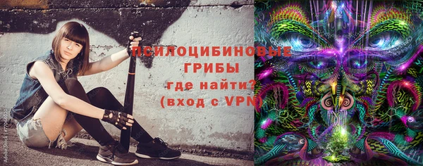 соль ск Аркадак